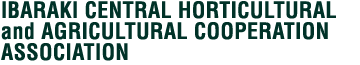 IBARAKI CENTRAL HORTICULTURAL and AGRICULTURAL COOPERATION ASSOCIATION